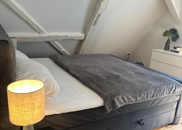 公寓 Historisches Eckermannhaus - Neueroeffnung