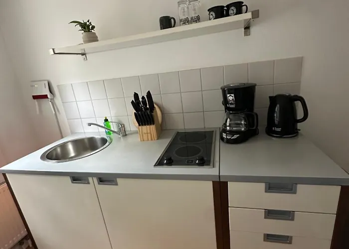 公寓 Historisches Eckermannhaus - Neueroeffnung 魏玛