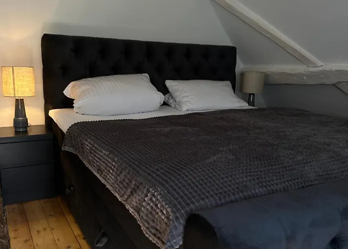 Historisches Eckermannhaus - Neueroeffnung 公寓 *